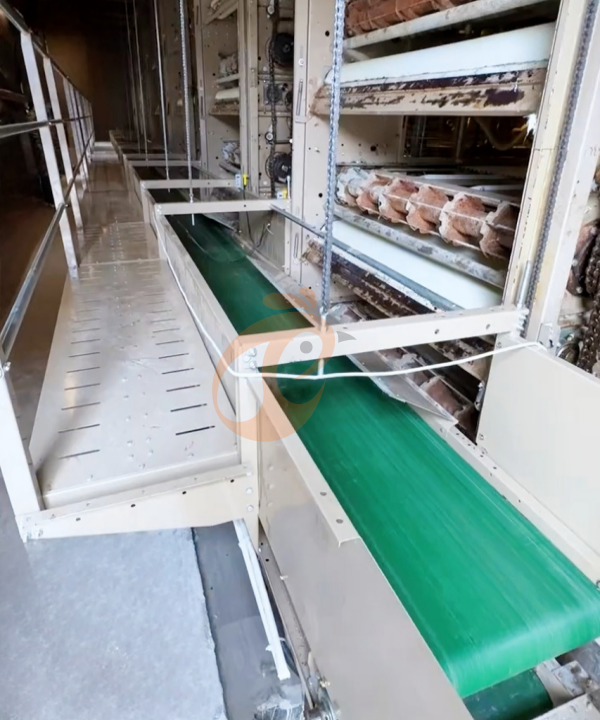 broiler chicken cage design (10) broiler chicken cage design (10)