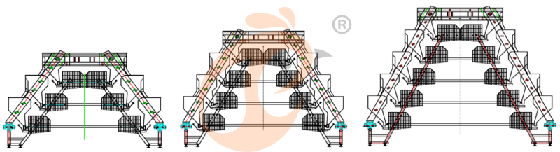 broiler chicken cage