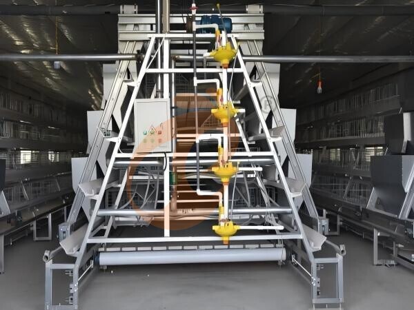 Fully Automatic A Type Day Old Chicken Cage Design - A Practical Classic For Poultry Farms