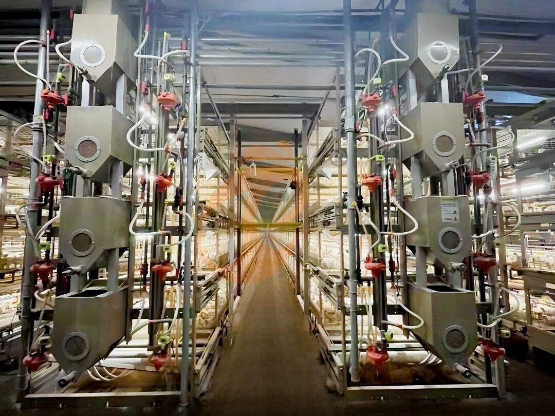 Affordable Poultry Cage For Broilers In Nigeria