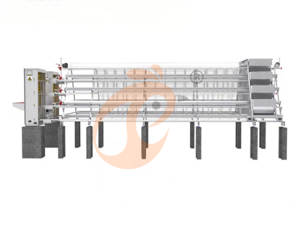 Ethiopia Poultry Housing And Poultry Equipment Guide: Full List And Cost Breakdown