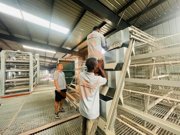 Where To Buy Affordable Yet Durable Layer Cages In Nigeria?