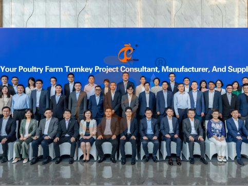 HK Headquarter Offers EU-standard Poultry Farm Solutions, Manufacture Poultry Farm Equipment