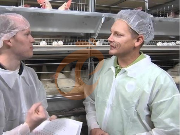 How Automatic Feeding Enhances Ethiopian H Type Chicken Cage Performance