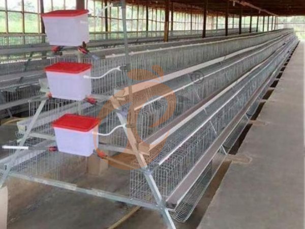 A H layer chicken battery cage price in poultry farm (102)
