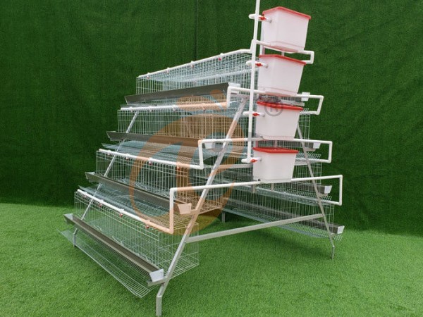 How To Reduce Labor Cost Using An A Type Automatic Poultry Cage System In Ethiopia? 4 Smart Ways