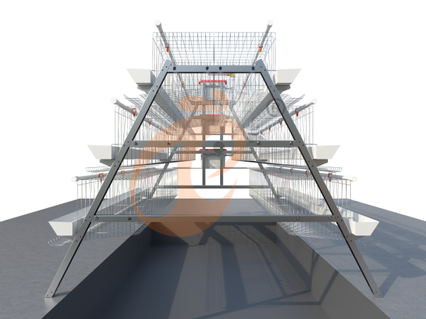 What Is An A Type Chicken Cage System For Poultry Farm In Ethiopia?