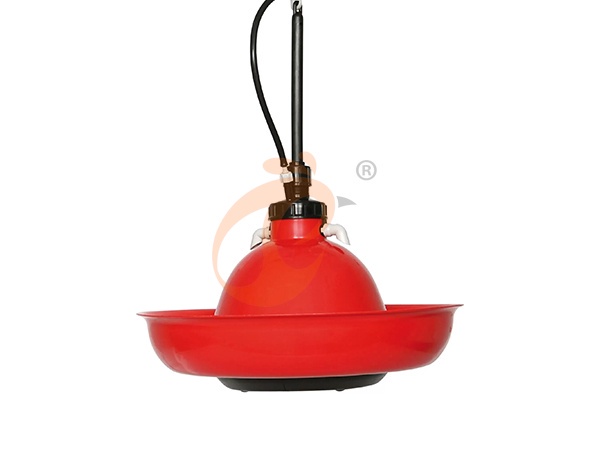 Plasson Poultry Equipment Price & Supplier List | 5 Key Tips