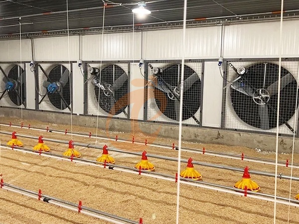 Which Poultry Ventilation System Fits Small Broiler Farms?