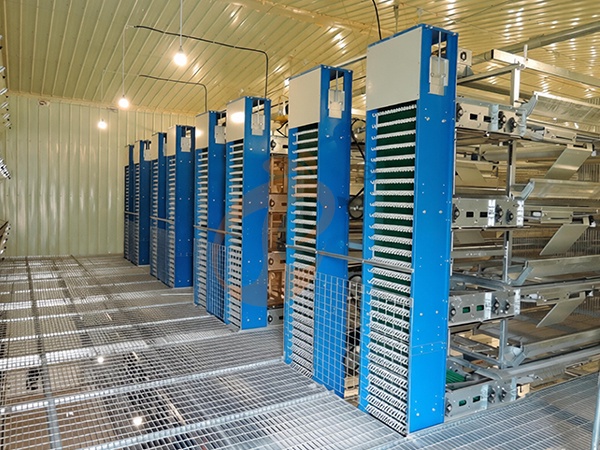 How To Reduce Egg Breakage In Layer Chicken Cages | 6 Proven Methods