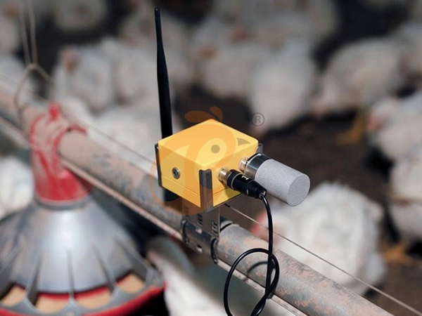 Chicken Coop Monitoring & Environmental Sensors Buying Guide: Smart Poultry Automation System