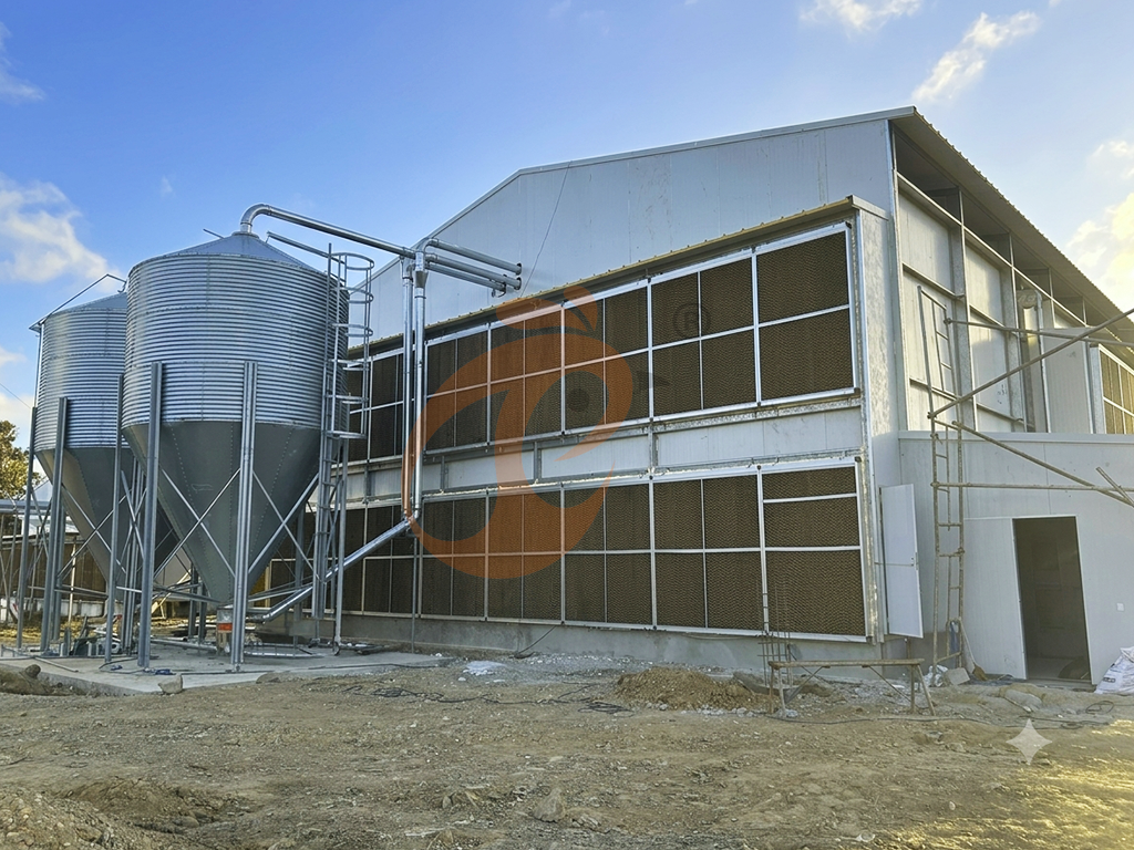 Chicken Feed Mixer and Grinder5 (3)