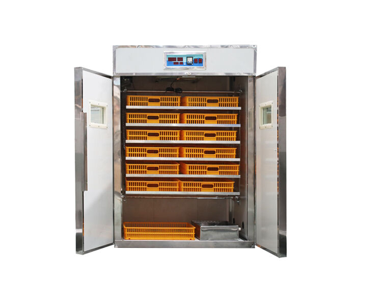 How to set up egg incubator