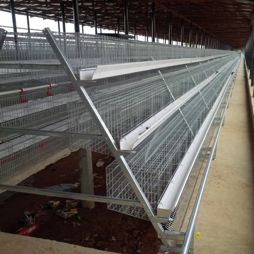 Environmental management for poultry farm