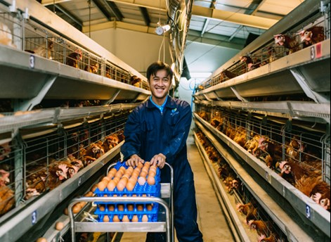 Environment impact of mechanized poultry farming