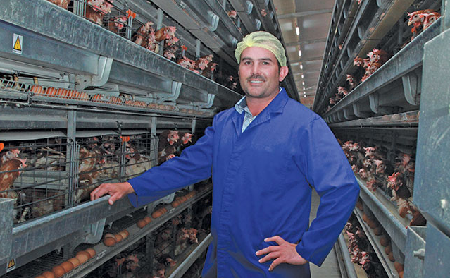 How to ensure calcium and protein in poultry feed