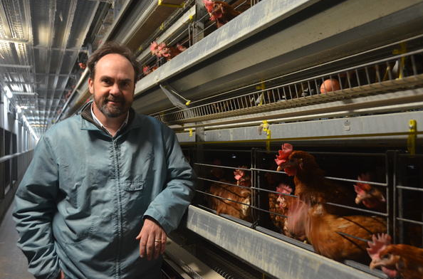 Factors millitating against poultry farming