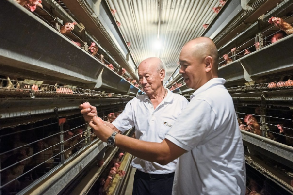 Low temperature in battery cage