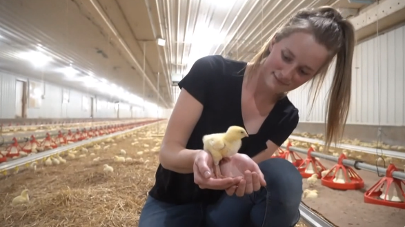 Biosecurity and disease management