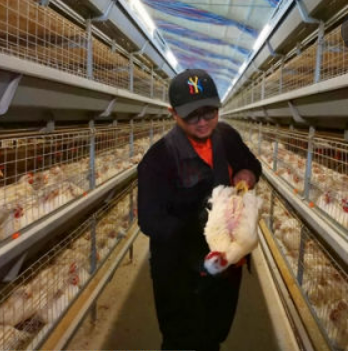 Poultry farm equipments