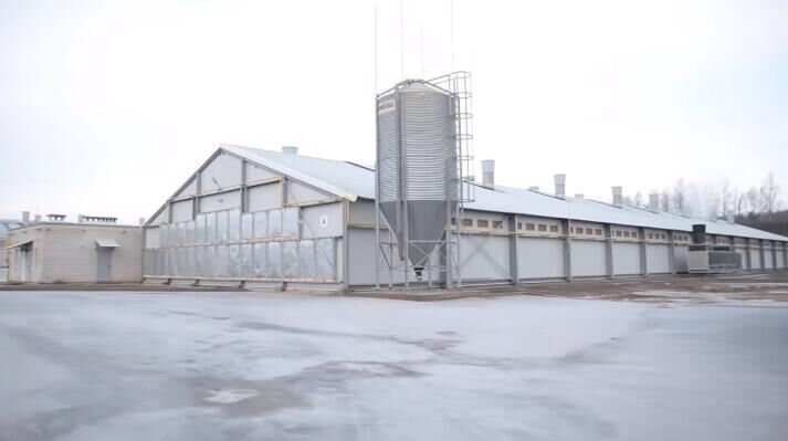 Tips on how to become a successful poultry farmers