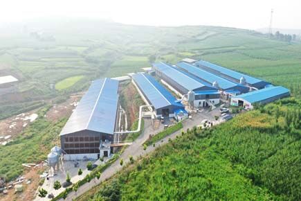 Our company finished layer chicken project of 30,000 square meter, 1 million birds poultry farm