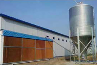 Our company finished layer modern project of 500,000 birds in Middle Eastern poultry farm