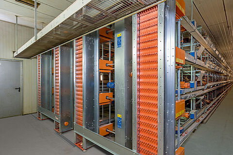 Reasons to raise your layers with battery cage system