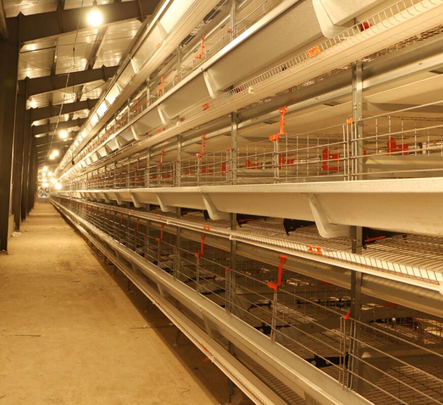 What are the construction and their opeartion principle of poultry cage