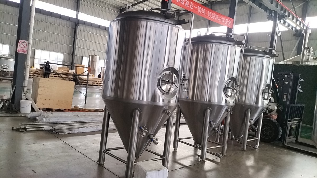 23219 1000L 500L发酵罐.jpg