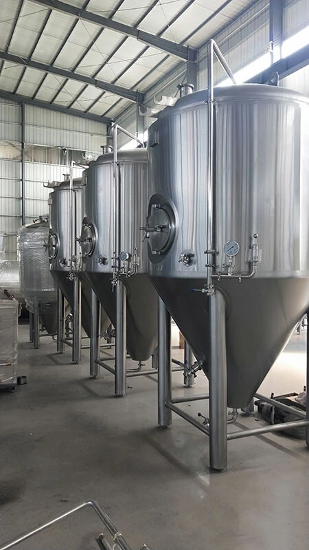Fermentador cónico ProBrew de 2000 l