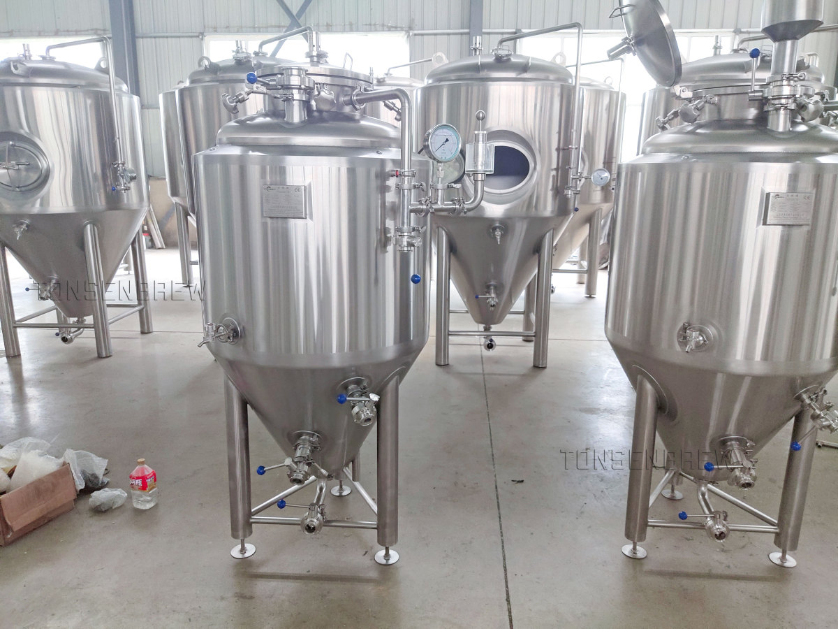 100l 200l 发酵罐1