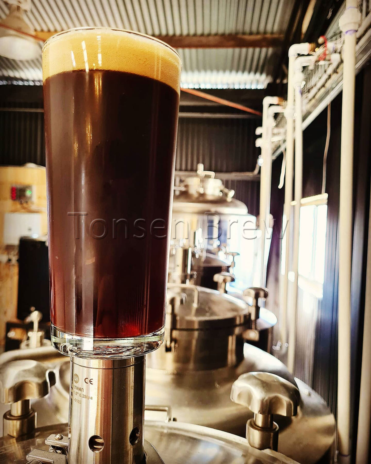 Con estos tanques de elaboración de cerveza de 500L recién llegados, ¿qué nueva cerveza obtendrán? ¡Esperándolo!