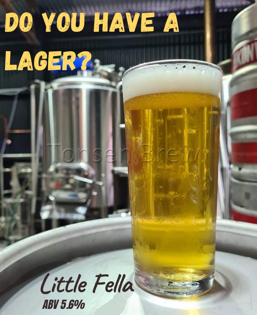 500l beer fermentation tanks Australia (2).png