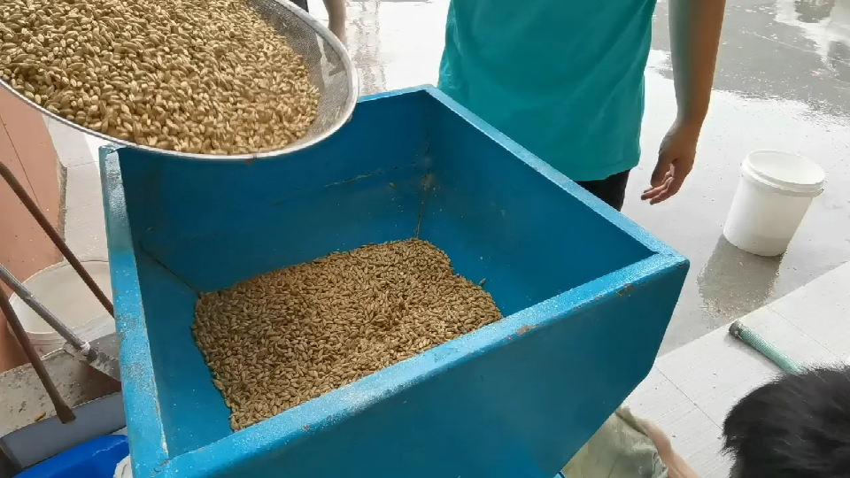 Un día de elaboración de cerveza en la microcervecería de 400L de Tonsen