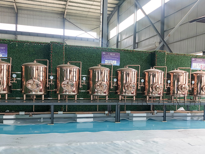 Tanque de cerveza brillante de 1000L