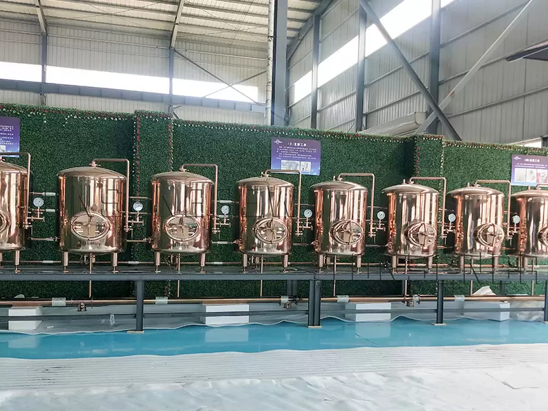Tanque de cerveza brillante de 1000L