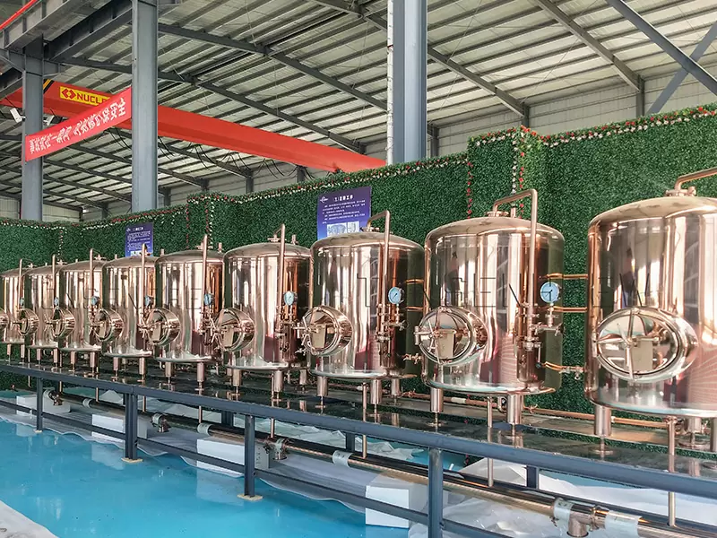 Tanque de cerveza brillante de 1000L