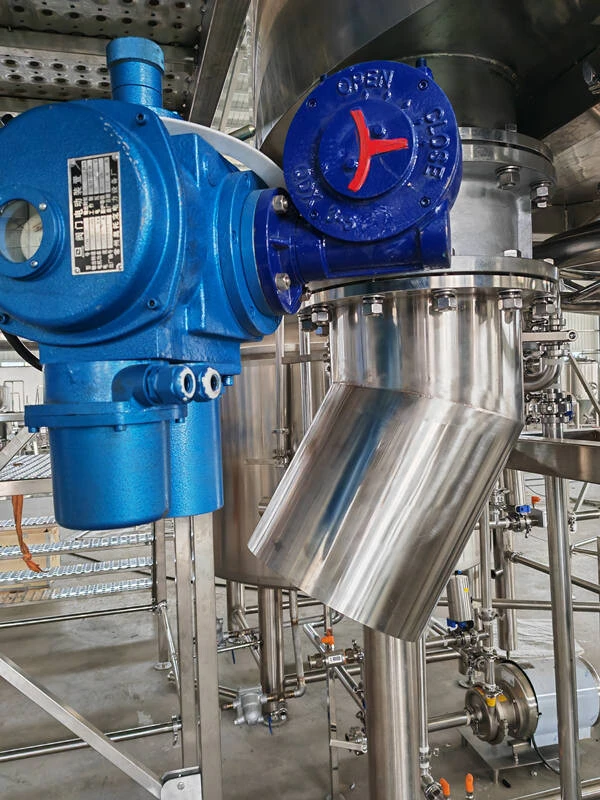 Brasserie à deux cuves 1500L