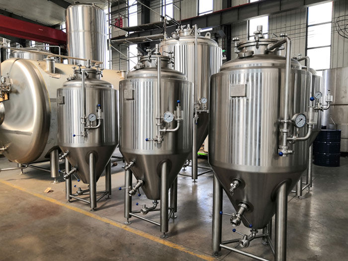 Cuve de fermentation 300L