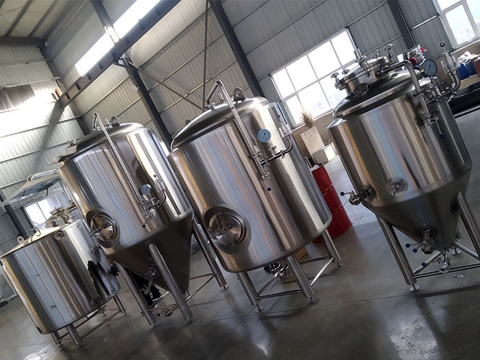 Cuve de fermentation 300L