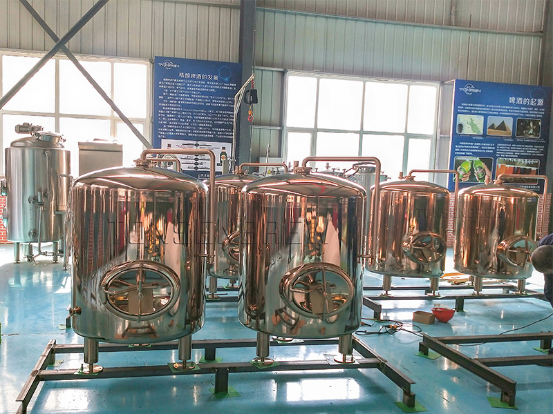 Réservoir de bière brillant 1000L