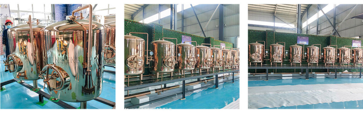 1000L Bright Beer Tank.jpg