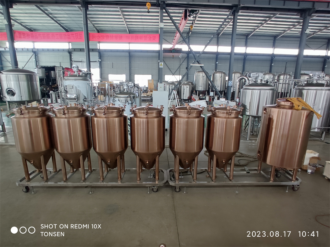 100l Micro Brewery Equipment by electroplating process. 