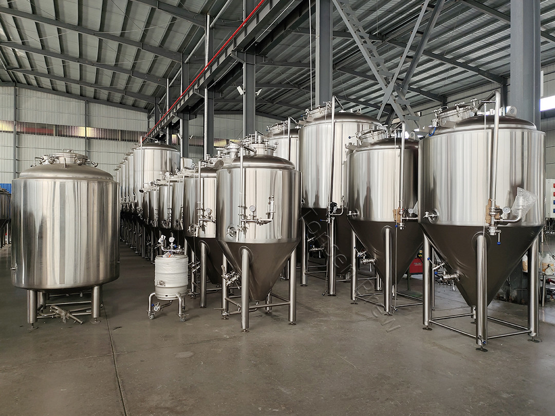 IMG_20231114_141100  ..jpg