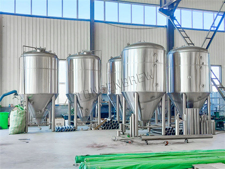 1000L 2000L TOP MANHOLE FERMENTERS.jpg