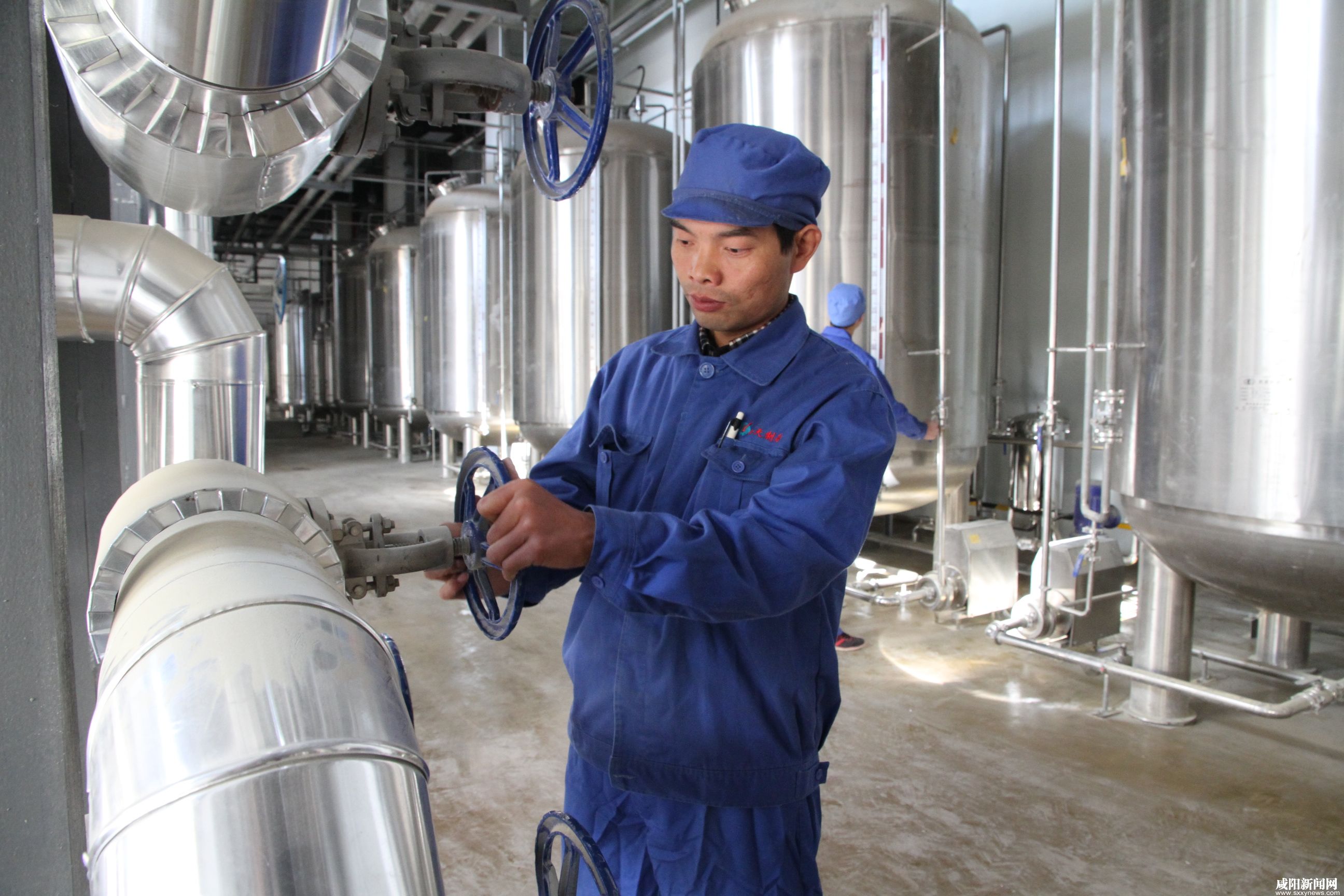 Exigences essentielles pour l'installation d'équipements de bière