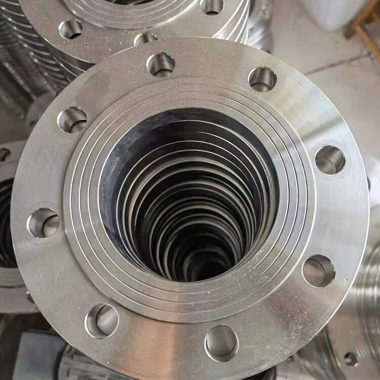 Stainless Steel Flange