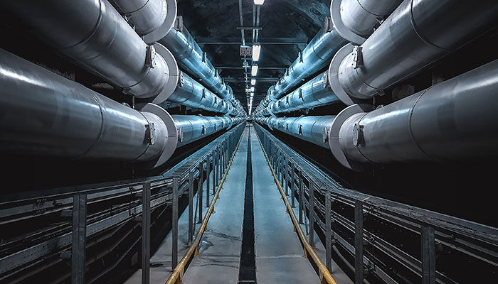 We always adhere to the principle of equality