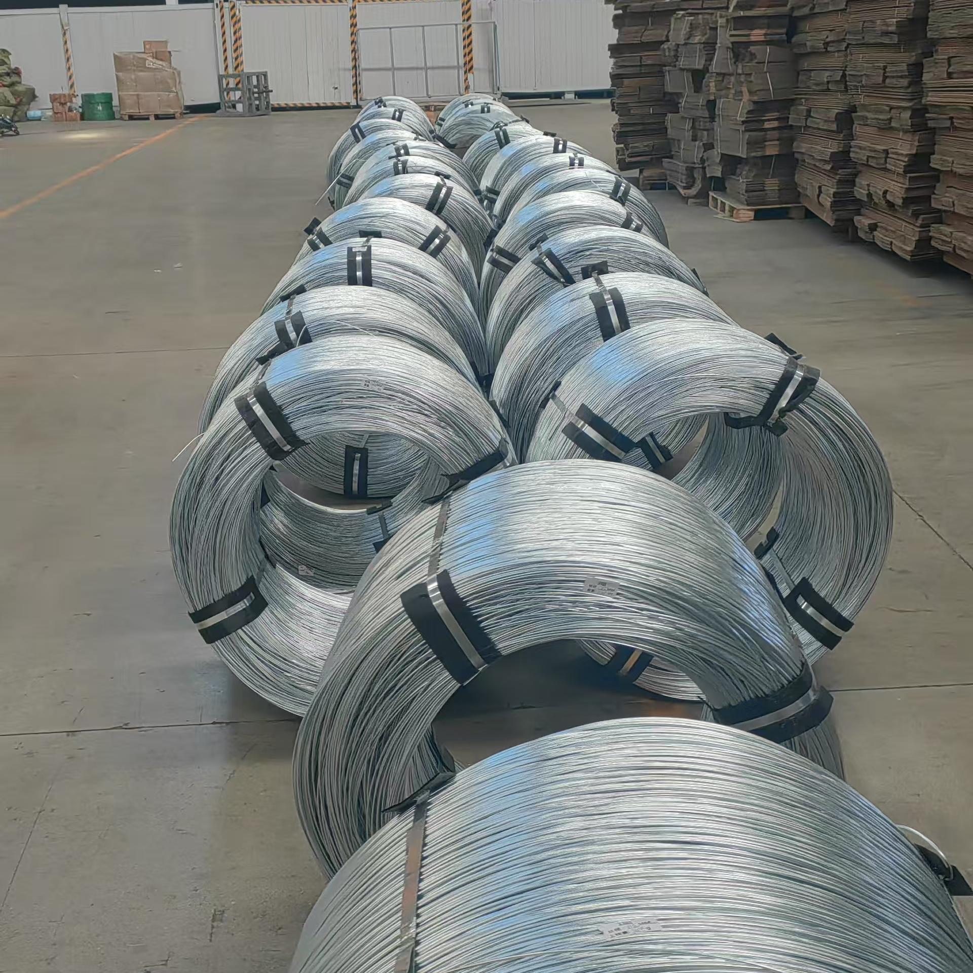 Stainless Steel Wire